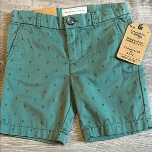 Teal Kids Shorts
